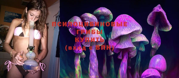 прущая мука Армянск